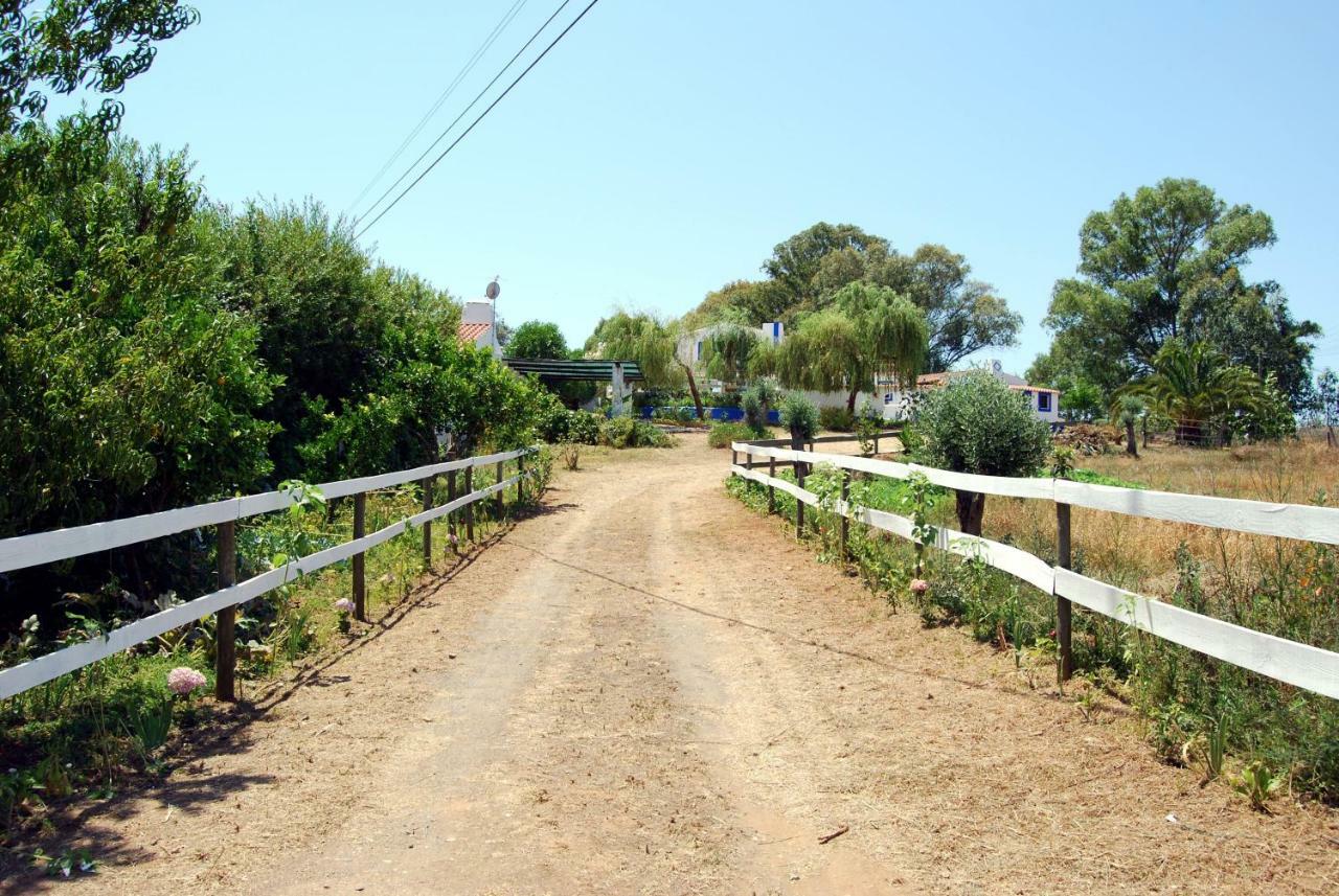 Monte Das Silveirinhas - Casa Rural Βίλα Charnequinha Silveiras Εξωτερικό φωτογραφία