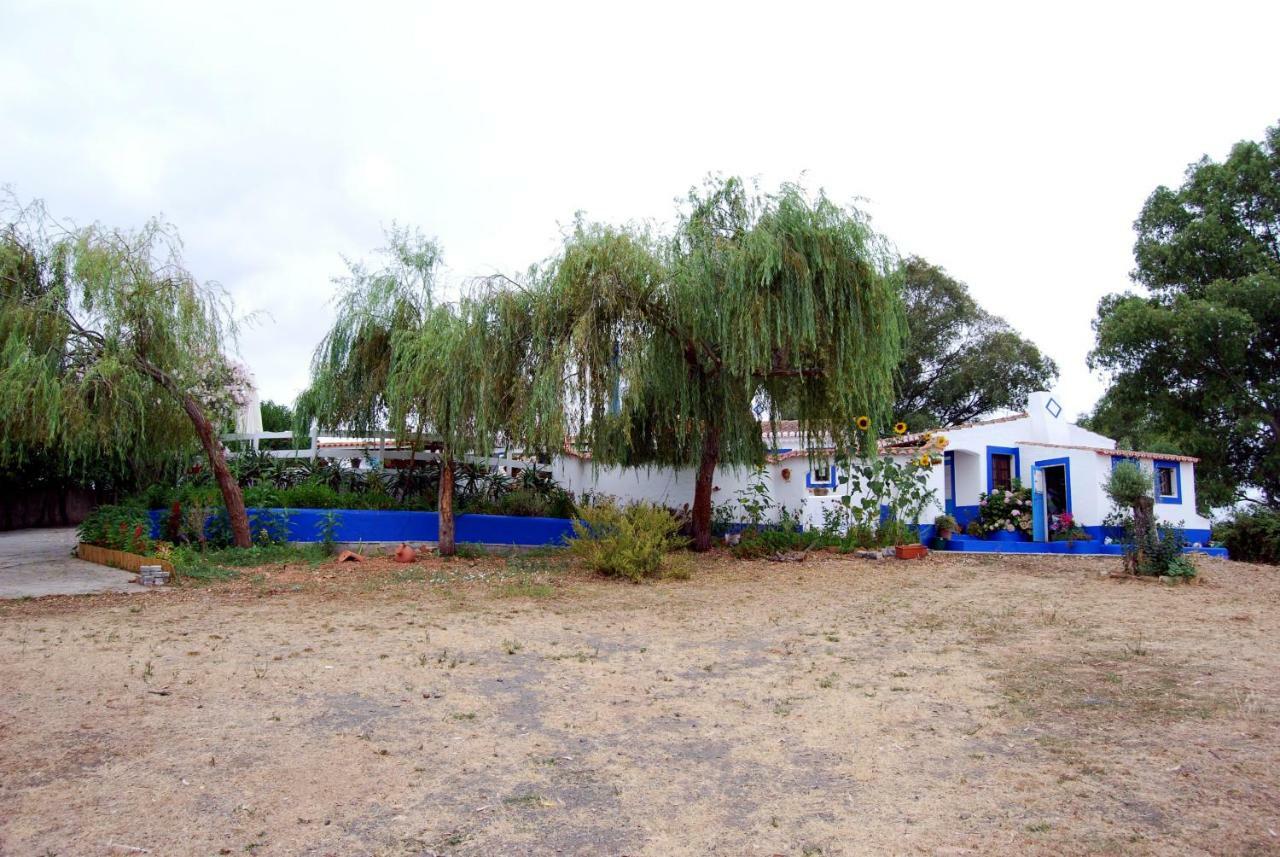 Monte Das Silveirinhas - Casa Rural Βίλα Charnequinha Silveiras Εξωτερικό φωτογραφία
